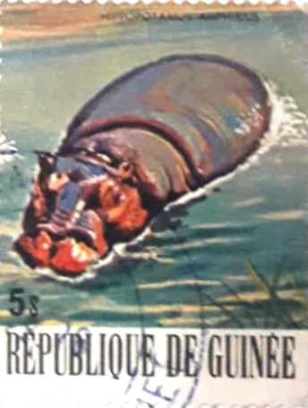Նամականիշ   « Hippopotamus amphibieus»  