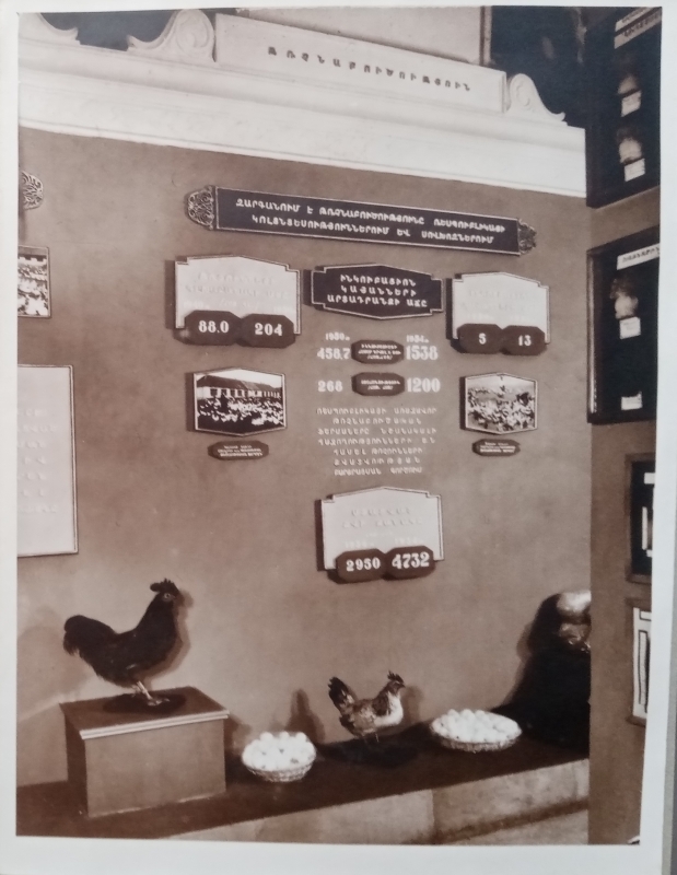 1955թ. գյուղատնտեսական ցուցահանդեսի թռչնաբուծության վահանակը