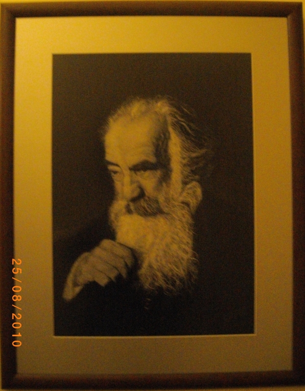 Հովսեփ   Օրբելու  դիմանկարը  բարդու  աղվամազից