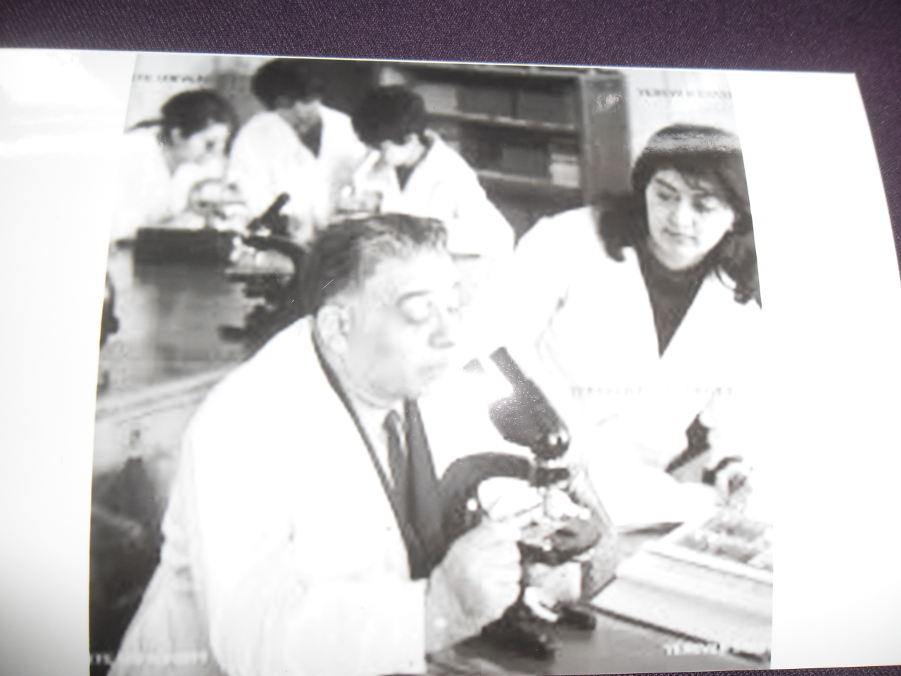 Հրանտ Գևորգի Բատիկյան  (1909-1983 թթ.) -Կենսաբան-գենետիկ, ՀԽՍՀ գիտության վաստակավոր գործիչ, կենսաբանական գիտությունների դոկտոր, պրոֆեսոր