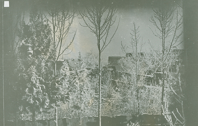 Գերմանացի հեռագրիչ և լուսանկարիչ Էռնստ Հեոլցերի տունը և այգին