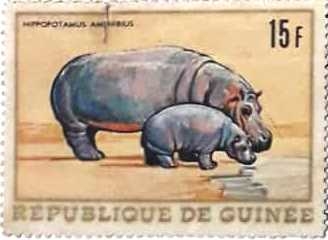 Նամականիշ   « Hippopotamus amehifius»  