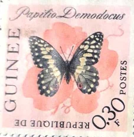 Նամականիշ   «Papilio Demodocus»  
