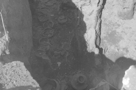 N 8 դամբարան․ Լճաշեն (հատված)