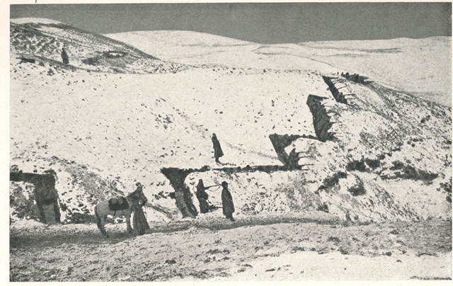 Կամավորները խրամատներում «Հայ կամաւորներ 1914-1916» ալբոմից
