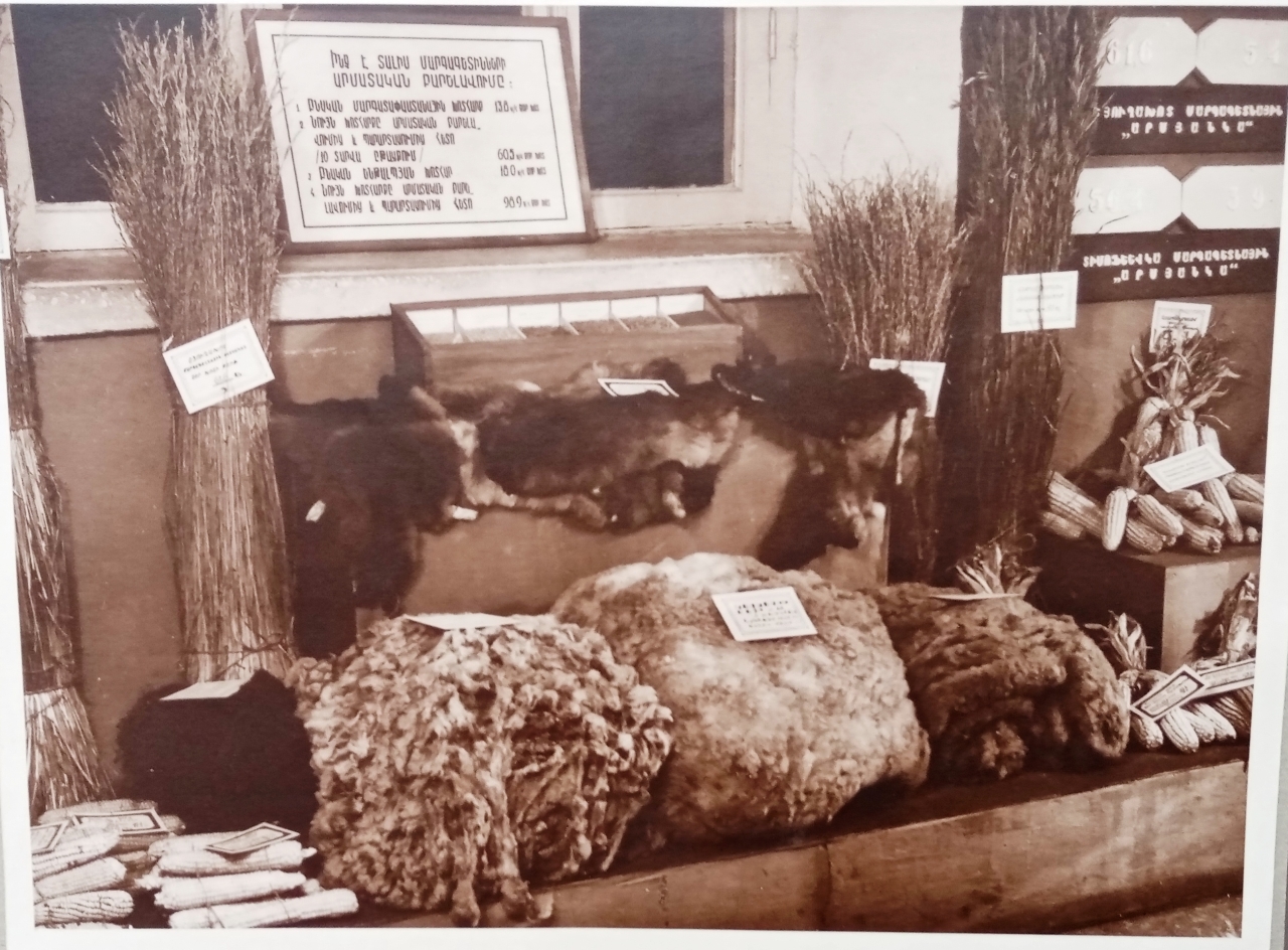 1955թ. գյուղատնտեսական ցուցահանդեսի անասնապահության վահանակը